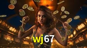 Experiência VIP wj67